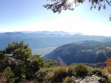 L'incantevole panorama dall'alto Cortaccia sulla Strada del Vino 1 suedtirol.info