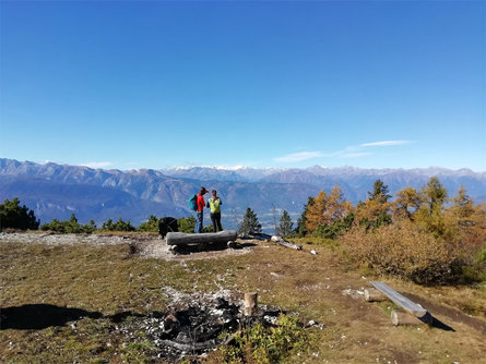 L'incantevole panorama dall'alto Cortaccia sulla Strada del Vino 2 suedtirol.info