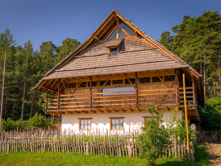 Haflinger Museum open for visits Jenesien/San Genesio Atesino 1 suedtirol.info