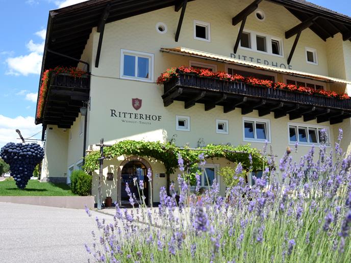 Tenuta Ritterhof (Caldaro) Termeno sulla Strada del Vino 1 suedtirol.info