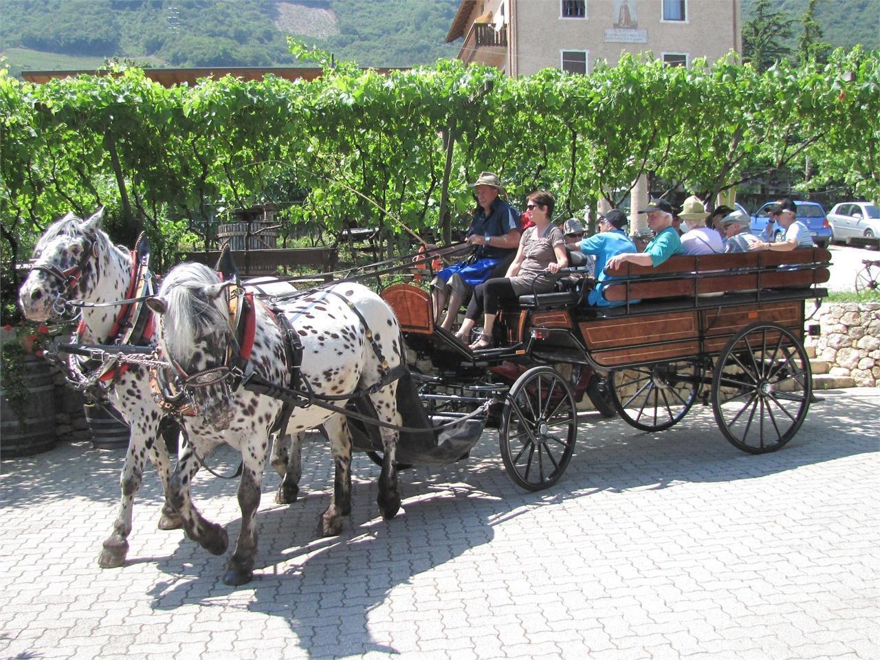 Carriage ride Tramin an der Weinstraße/Termeno sulla Strada del Vino 2 suedtirol.info