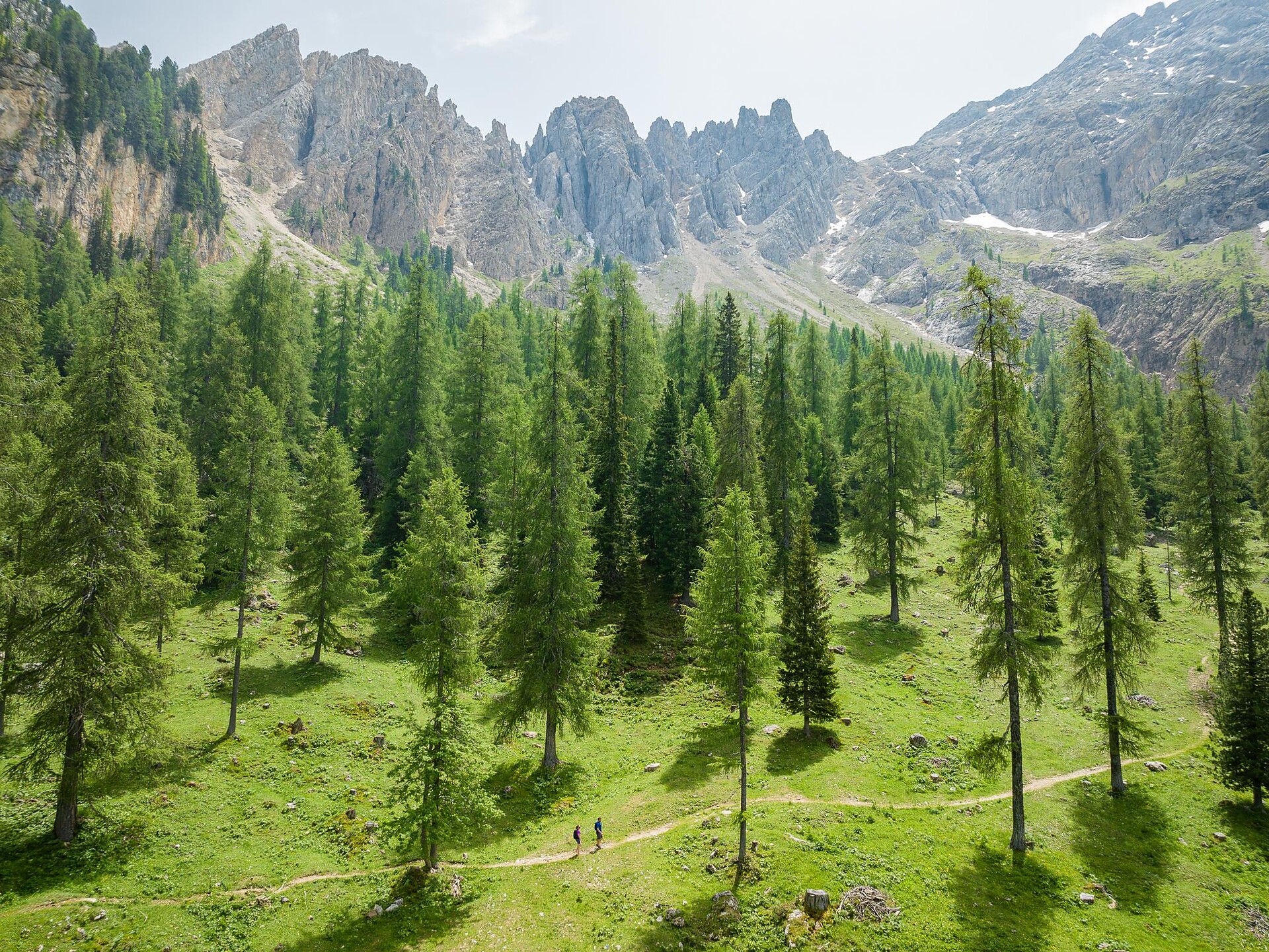 Kräuterwanderung zwischen Rosengarten und Latemar Welschnofen 2 suedtirol.info