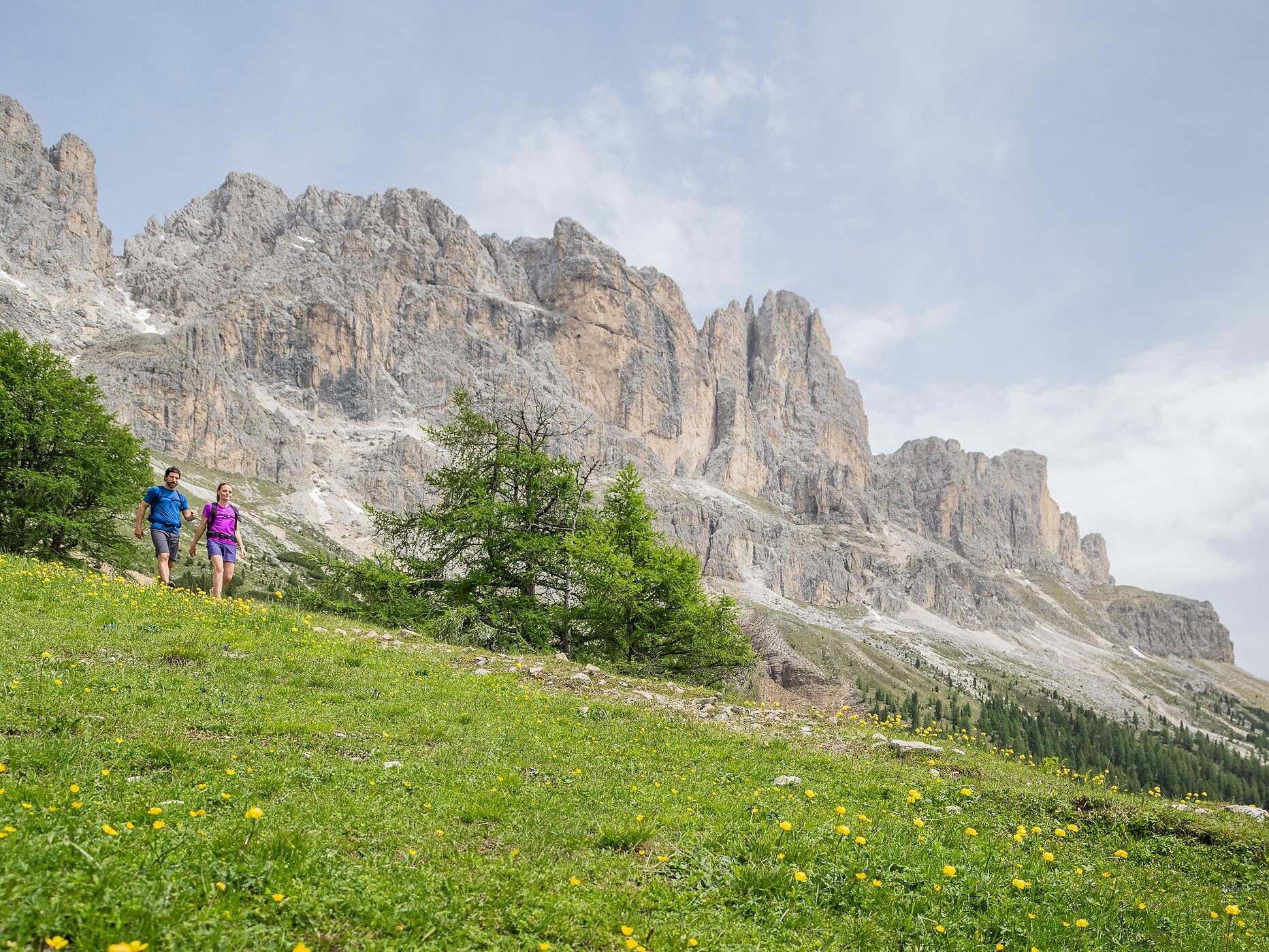 Kräuterwanderung zwischen Rosengarten und Latemar Welschnofen 1 suedtirol.info