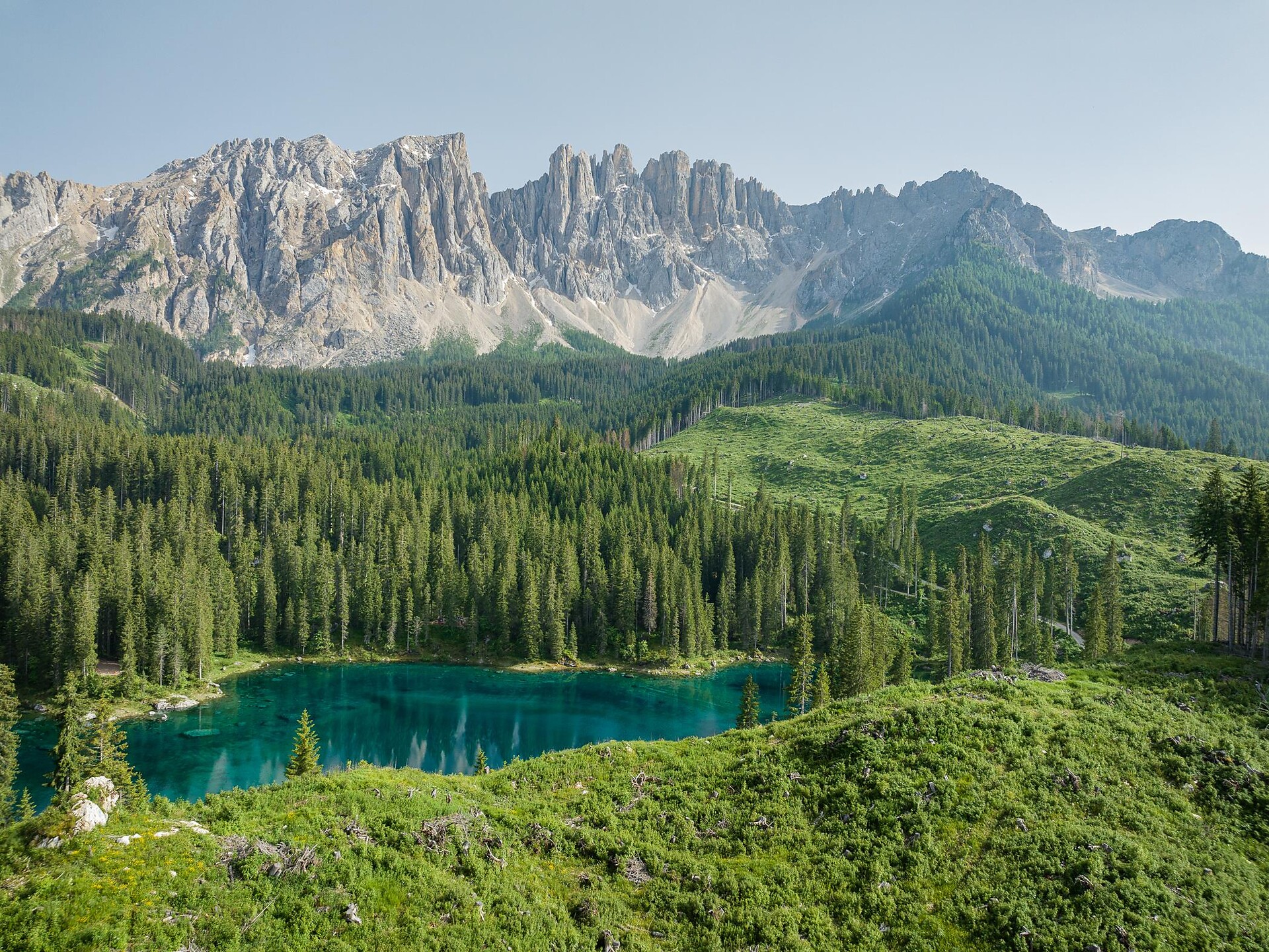 Kräuterwanderung zwischen Rosengarten und Latemar Welschnofen 3 suedtirol.info