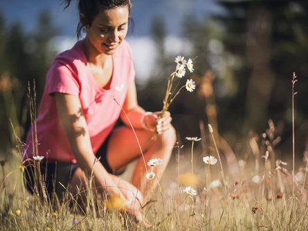 Herbal walk with production of various herbal products Ratschings/Racines 1 suedtirol.info