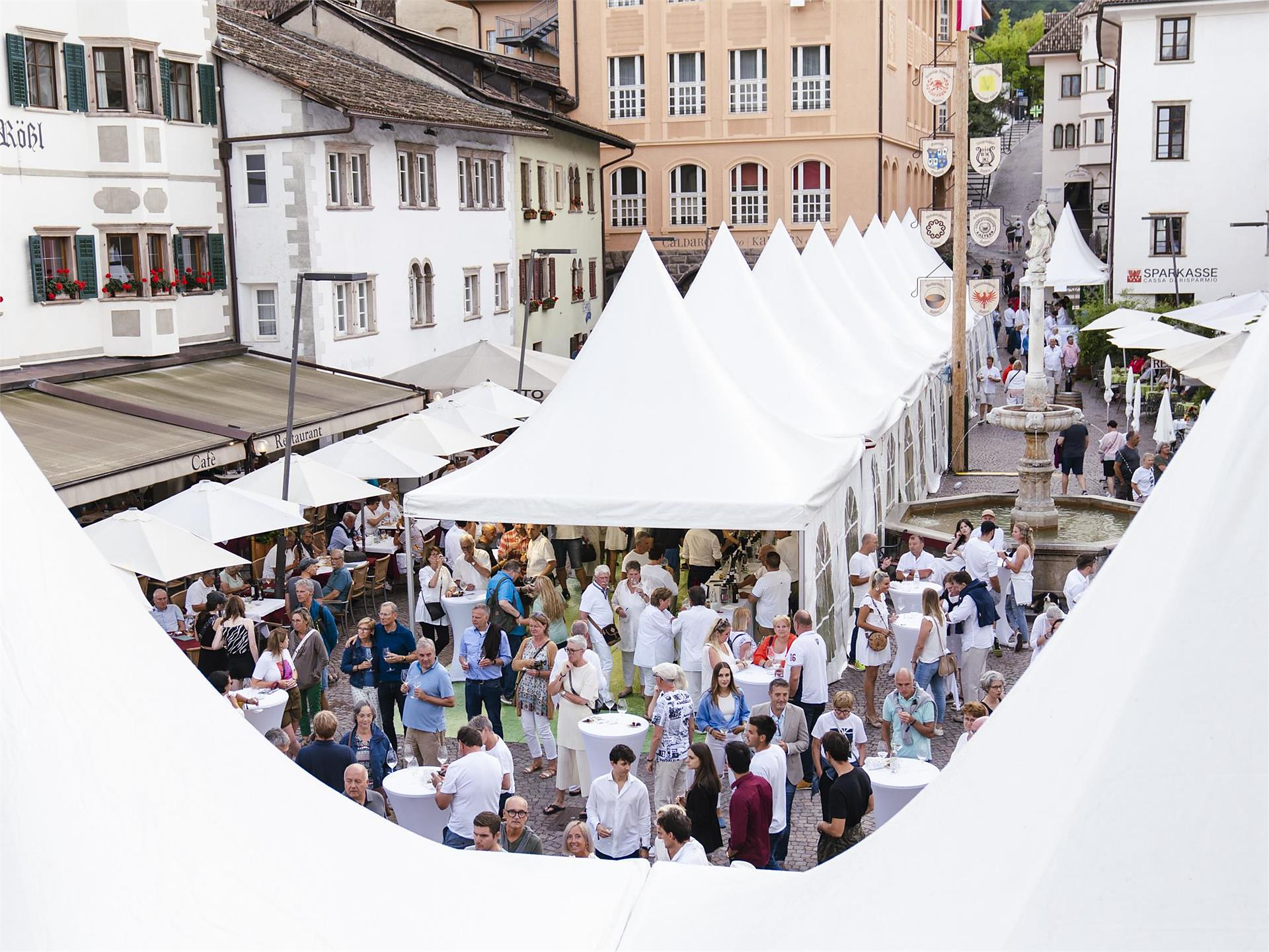 Caldaro in abito bianco Caldaro sulla Strada del Vino 2 suedtirol.info