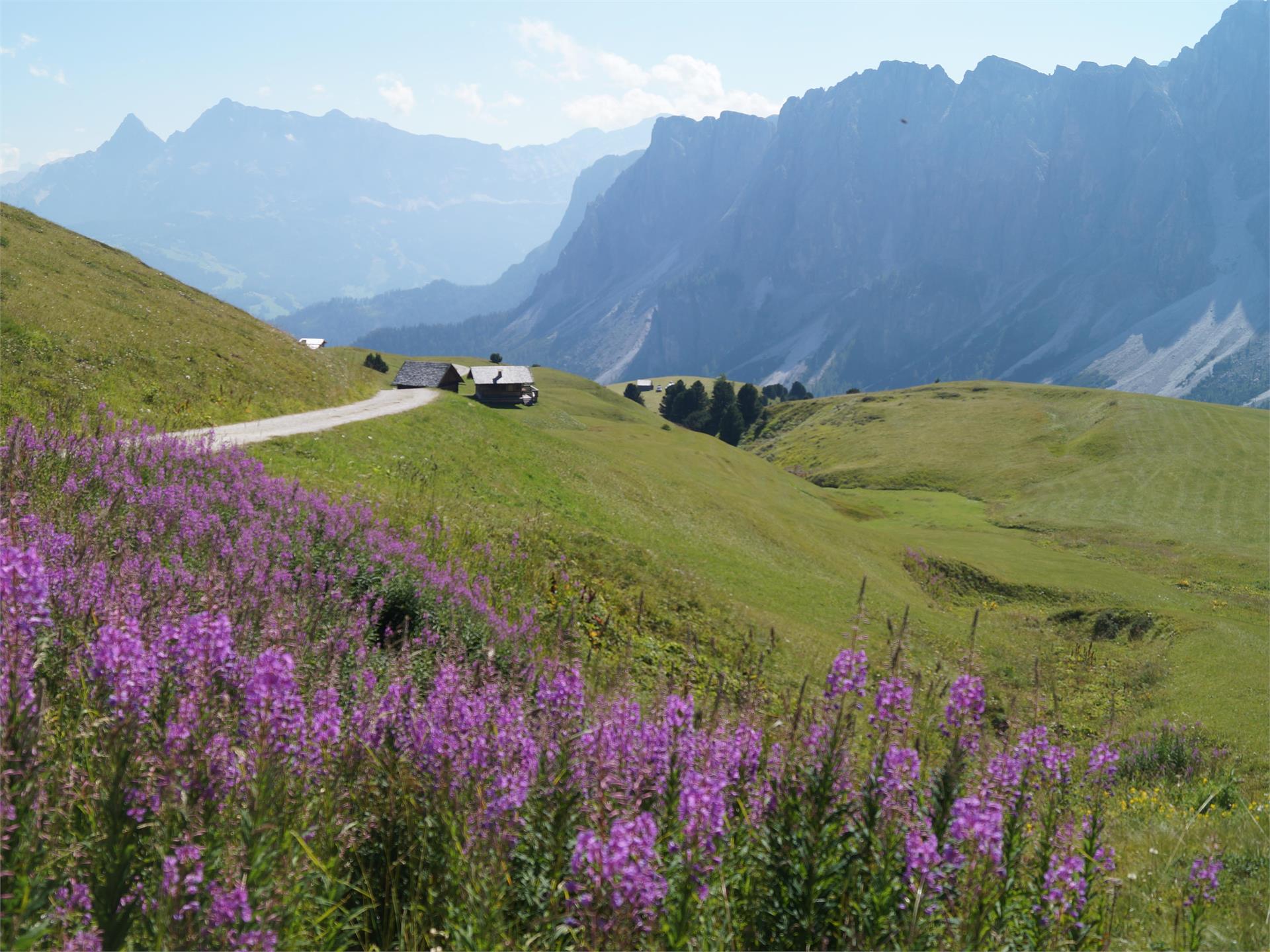 Le chît dla natöra - Meadows of Medalghes San Martin /San Martino 1 suedtirol.info