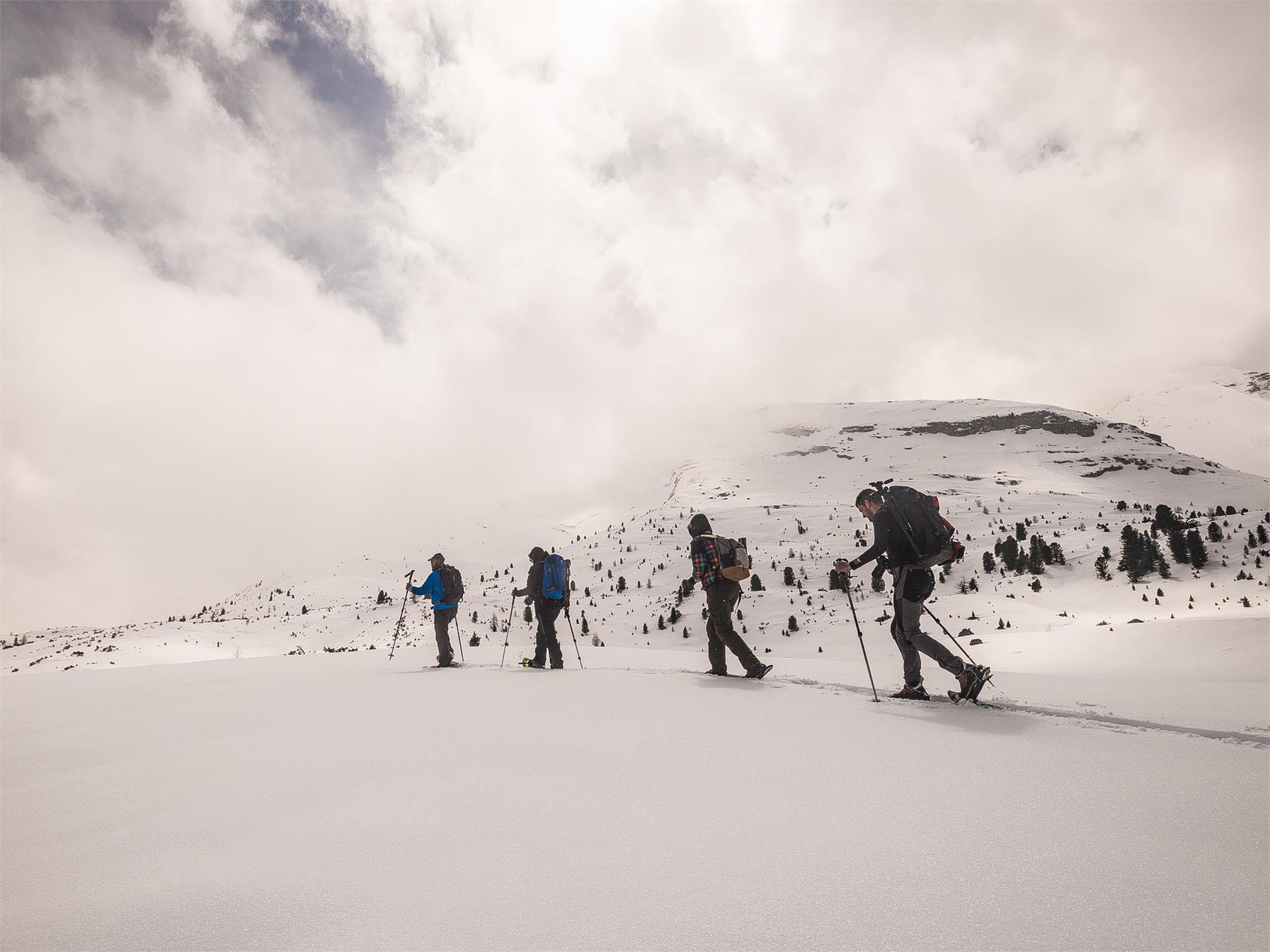 Ciaspolata facile al chiaro di luna a Lungiarü San Martino 1 suedtirol.info