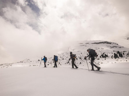 Easy snowshoe hike by moonlight in Lungiarü San Martin /San Martino 1 suedtirol.info