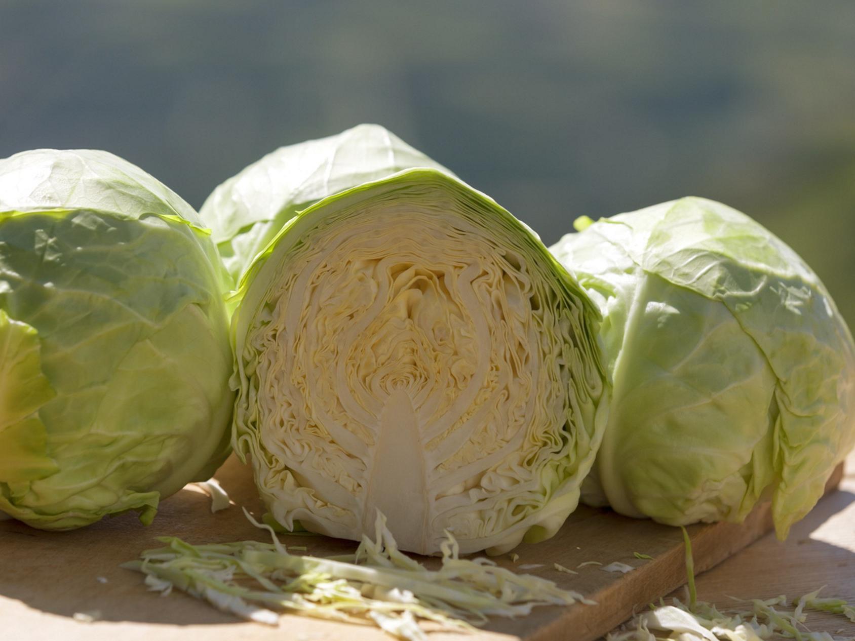 Lasa cabbage weeks Laas/Lasa 1 suedtirol.info