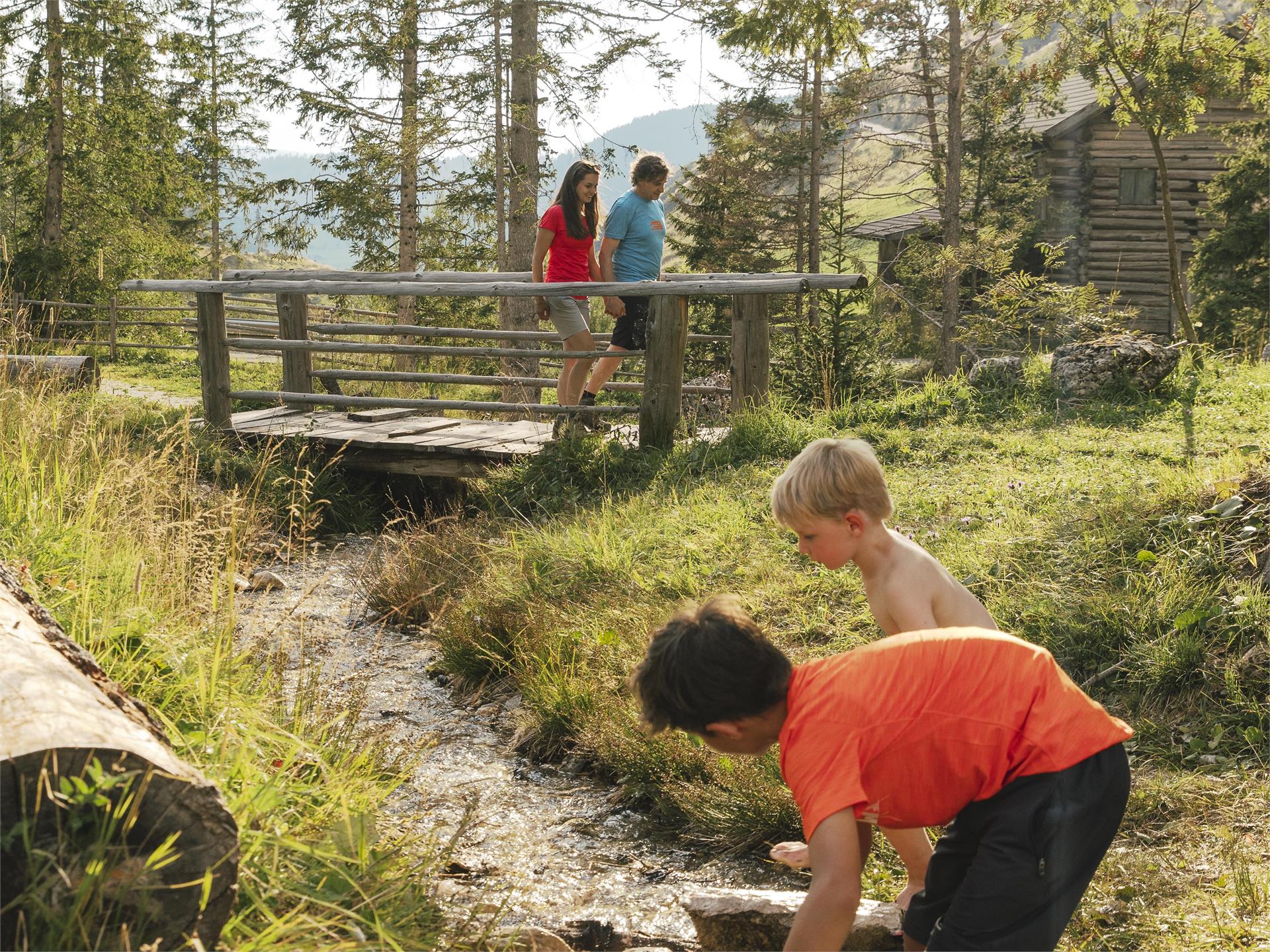 Rosadira Bike Kids - Mühlenwanderung Welschnofen 2 suedtirol.info