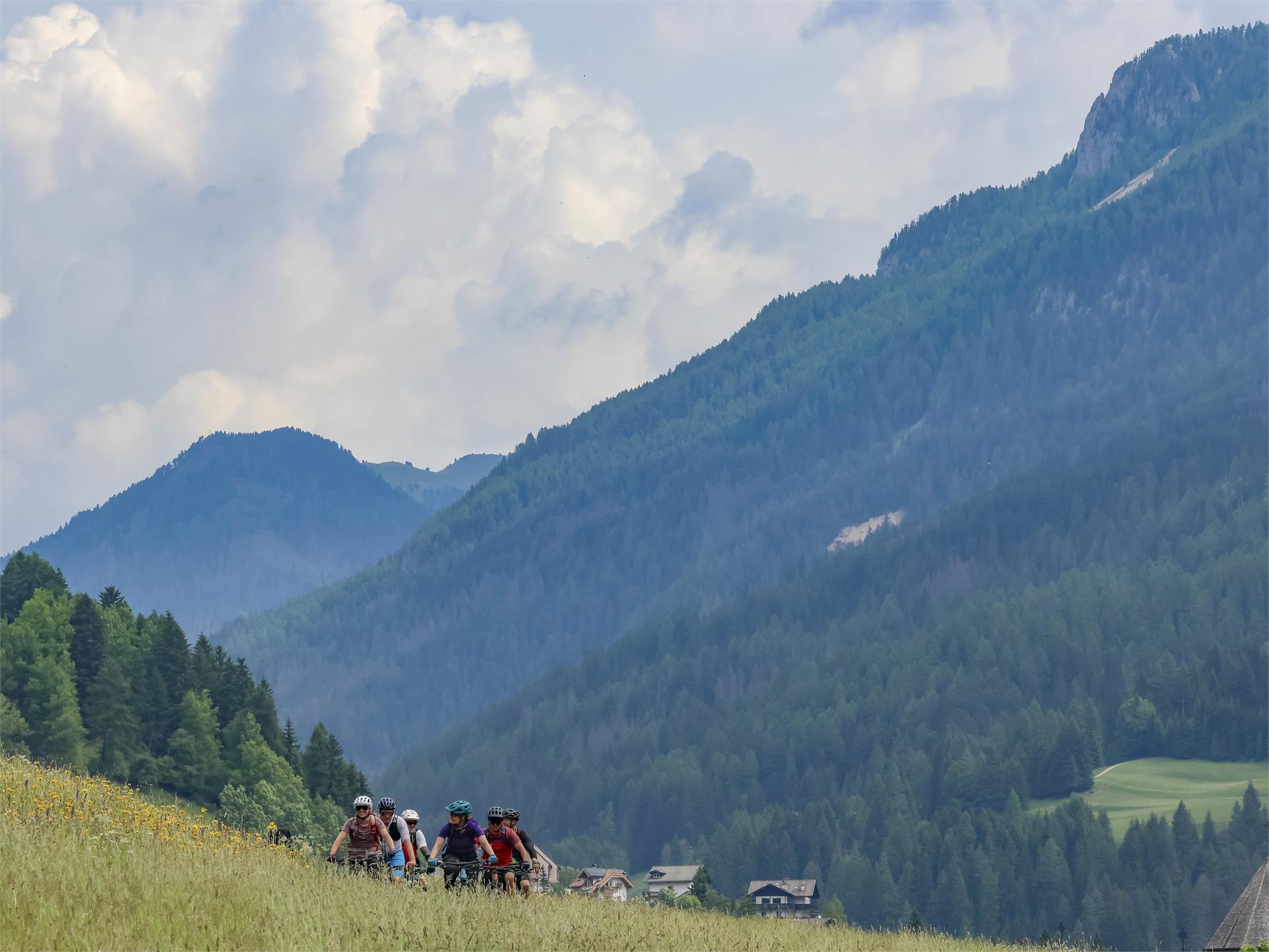 Rosadira Bike - Latemar Ronda Trail Tour Welschnofen/Nova Levante 3 suedtirol.info