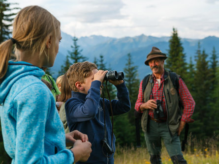 Passeggiata all'alba nel regno degli animali con colazione del cacciatore San Martino 1 suedtirol.info