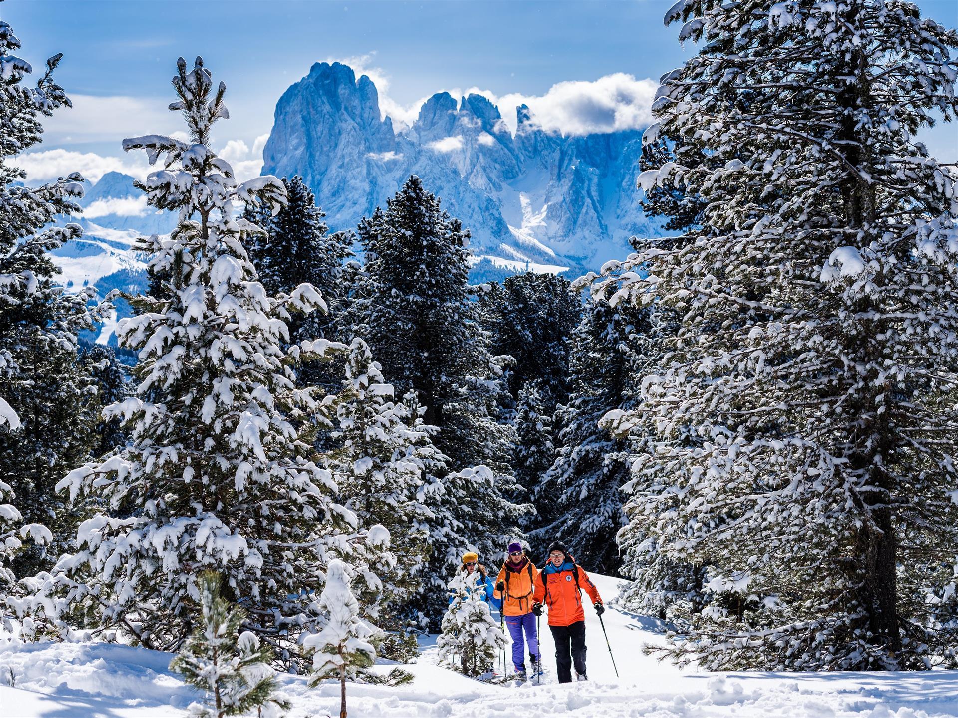 Ciaspolata a Mareufer con le guide Catores Ortisei 2 suedtirol.info