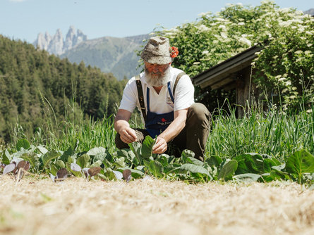 Slow Food Travel - Guided hike on the Farmer’s Trail Villnöss/Funes 1 suedtirol.info