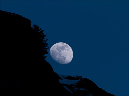 Snowshoe Hike under the Full Moon | Ulten Valley Ulten/Ultimo 1 suedtirol.info