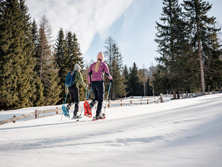 Snowshoe hike Olang/Valdaora 1 suedtirol.info