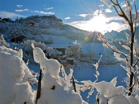 Slow Food Travel - Farmyard experiences at Torgglerhof Villnöss/Funes 2 suedtirol.info