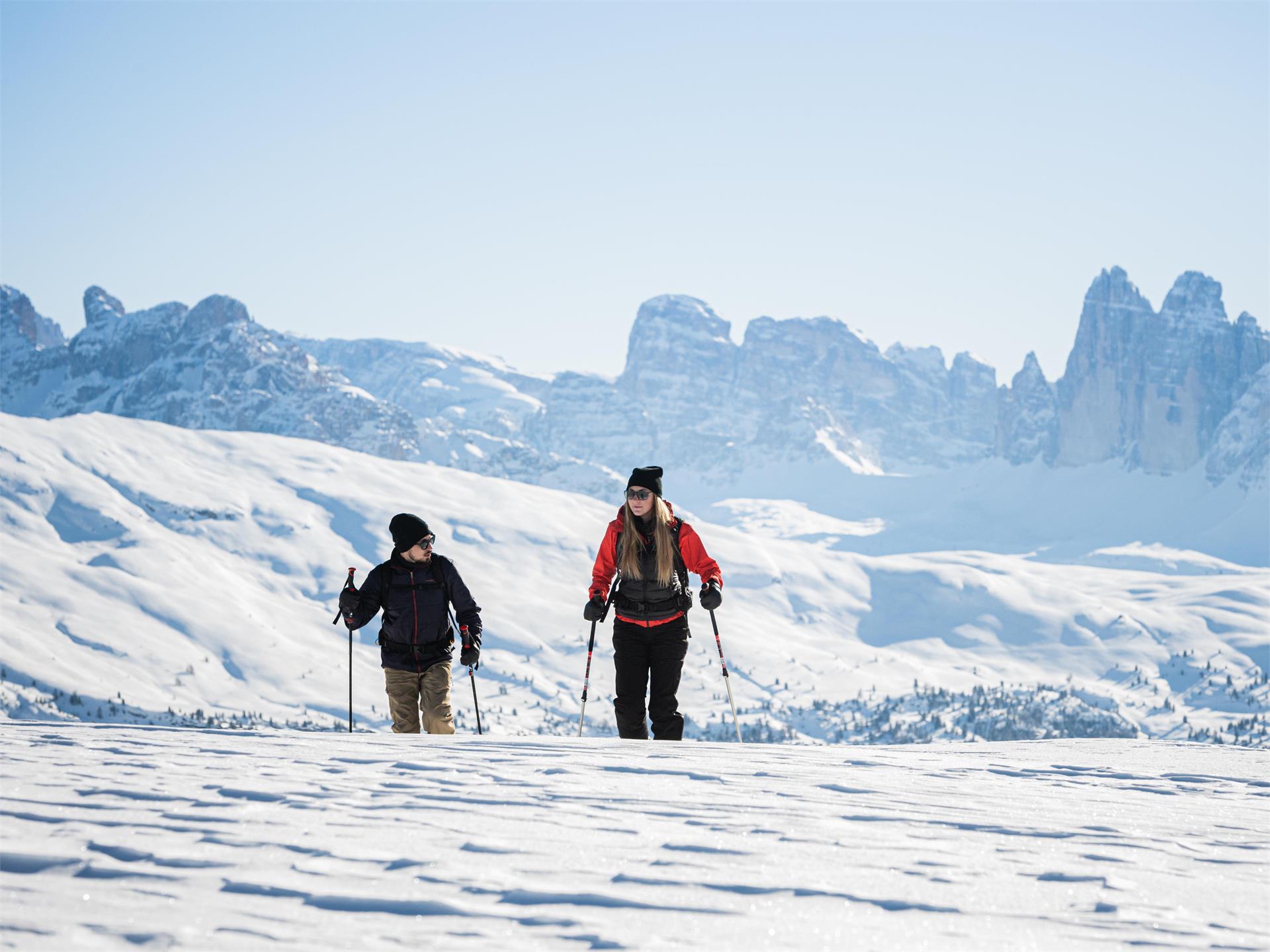 Snowshoe hike Prato Piazza - Monte Specie with view of the Three Peaks Innichen/San Candido 1 suedtirol.info