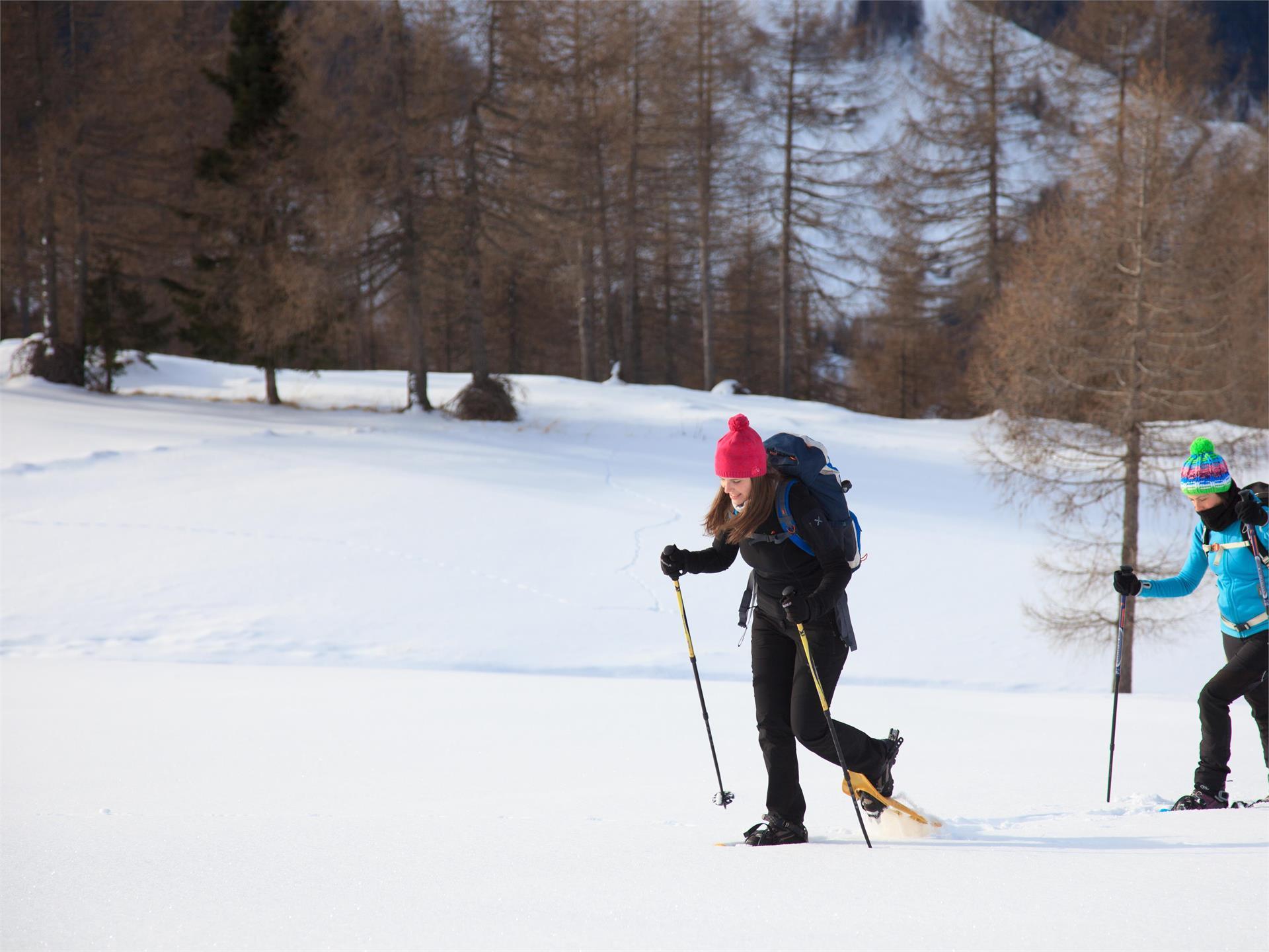 Schneeschuh-Abenteuer in Pfelders Moos in Passeier 3 suedtirol.info