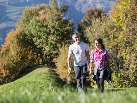 Guided "Törggele"-hike: discovering an ancient South Tyrolean tradition Schenna/Scena 1 suedtirol.info