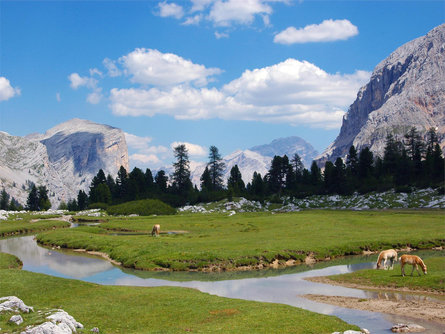 Transhumance - On the cattle trail to the Fanes alpine pastures La Val 3 suedtirol.info