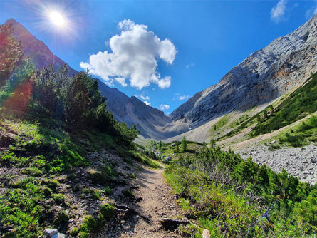 Transhumance - On the cattle trail to the Fanes alpine pastures La Val 1 suedtirol.info