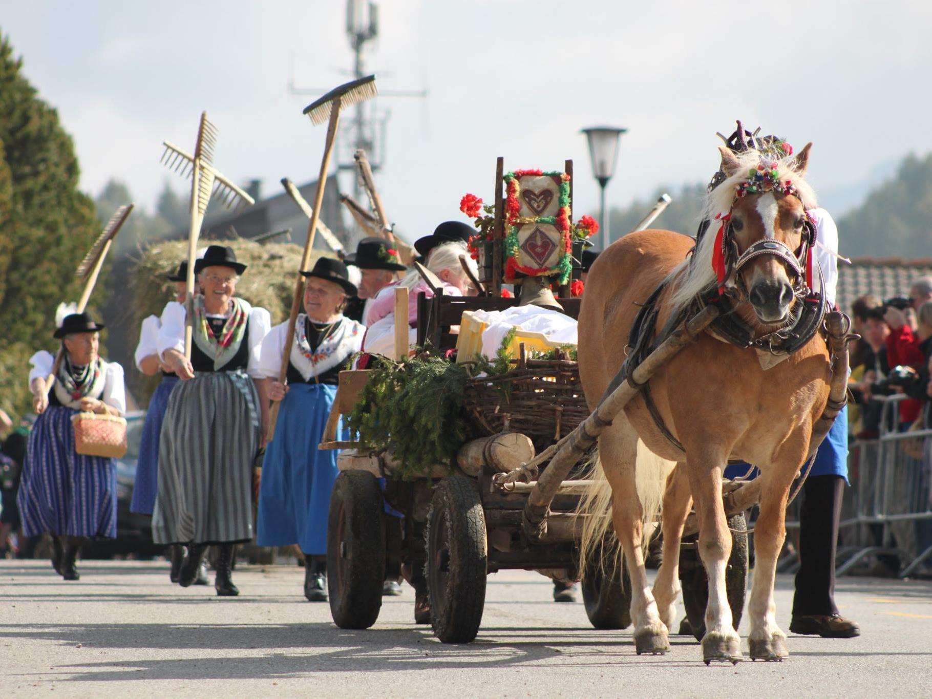 Traditional transhumance Seiser Alm Kastelruth/Castelrotto 2 suedtirol.info