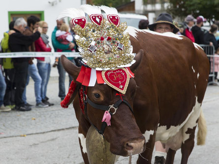 Traditional annual market in the Val Casies Valley: Gsiesa Marschtl Gsies/Valle di Casies 2 suedtirol.info