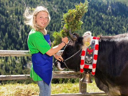 Rientro del bestiama alla malga bassa a Reinswald/San Martino Sarentino 1 suedtirol.info