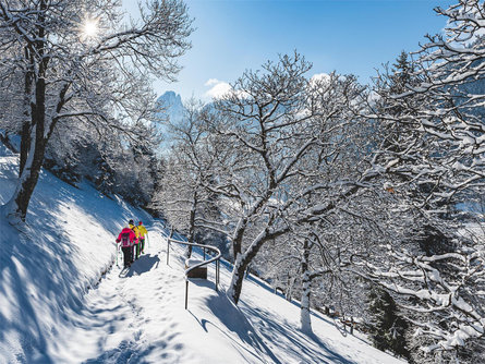 WOOD Emotion - staccare la mente, ricaricare le batterie Ortisei 3 suedtirol.info