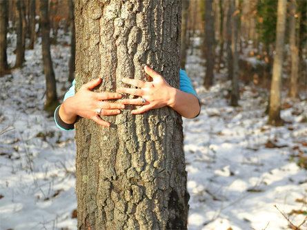 WOOD Emotion - staccare la mente, ricaricare le batterie Ortisei 1 suedtirol.info