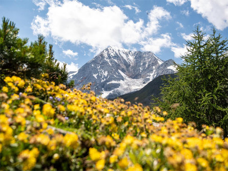 Escursione guidata al Rifugio Sesvenna Scena 2 suedtirol.info