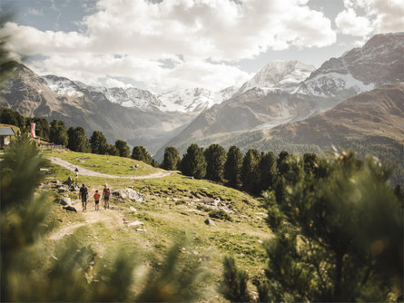 Escursione guidata al Rifugio Sesvenna Scena 3 suedtirol.info