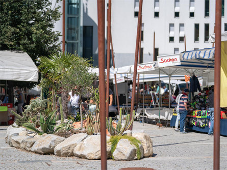 Mercato settimanale a Brunico Brunico 1 suedtirol.info