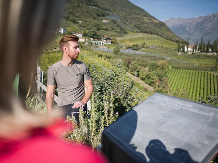 Scoprire la ViaCulturaVini di Marlengo Marlengo 3 suedtirol.info