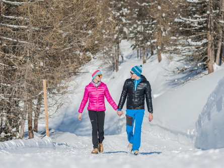 Escursione con vista sulle Dolomiti sopra Dobbiaco Monguelfo-Tesido 1 suedtirol.info