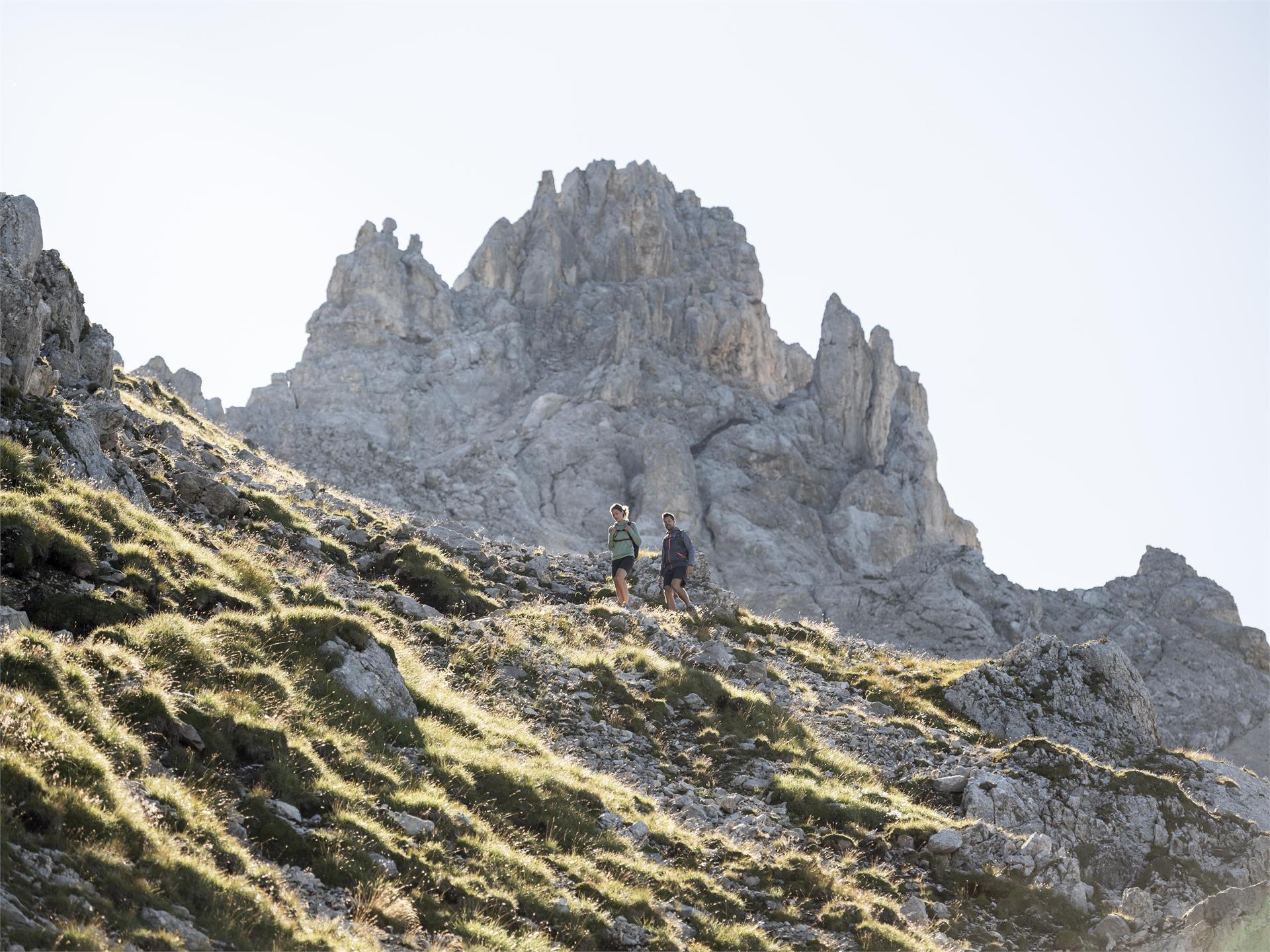 Hikingtour: Friedrich-August-Weg Schenna/Scena 3 suedtirol.info