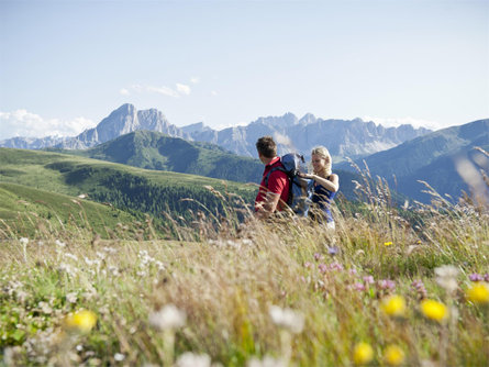 Hikingtour: Friedrich-August-Weg Schenna/Scena 2 suedtirol.info