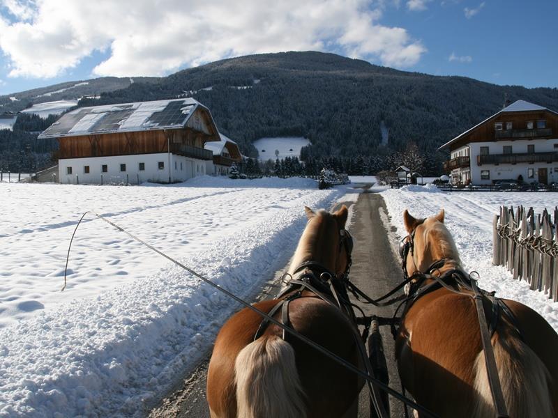 Romanticismo invernale: Giro in carrozza a Valdaora Valdaora 1 suedtirol.info