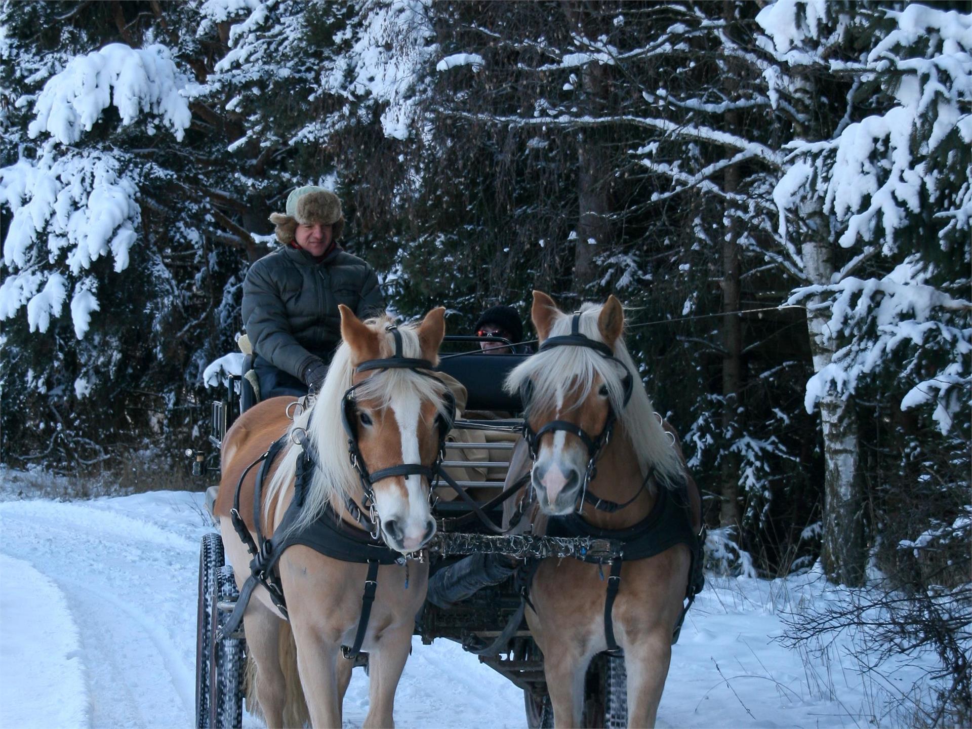 Romanticismo invernale: Giro in carrozza a Valdaora Valdaora 2 suedtirol.info