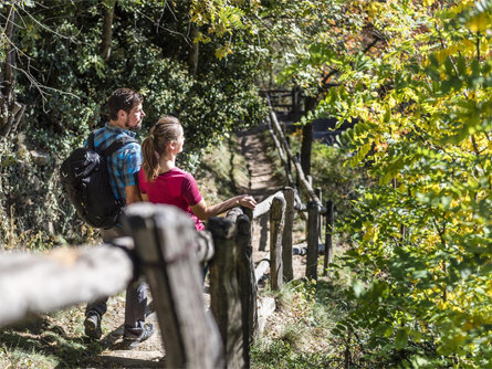 Guided Guest Hike Tirol/Tirolo 1 suedtirol.info