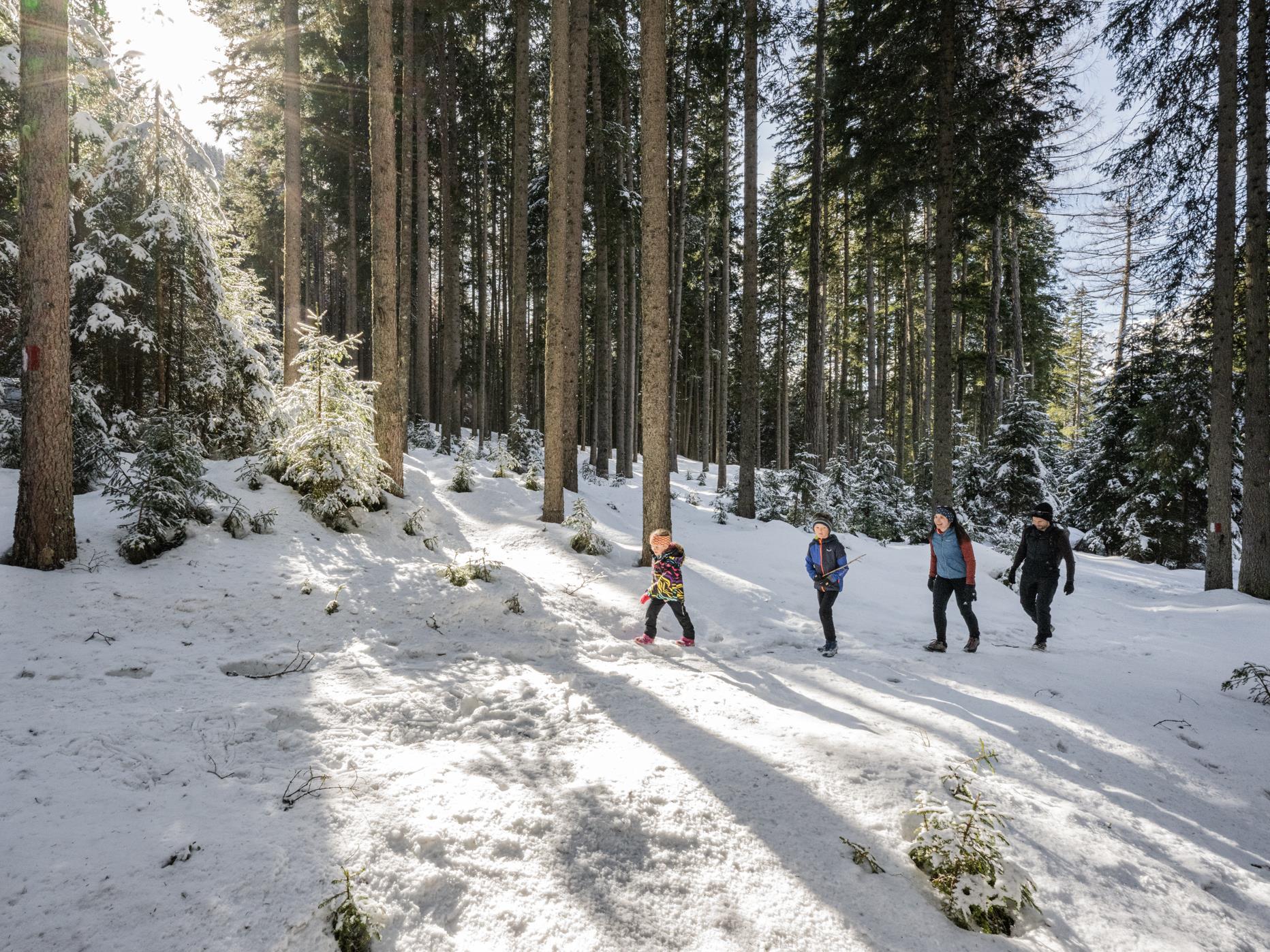 Winterwanderung (Pircher Alm in Weißenbach) Rasen-Antholz 1 suedtirol.info