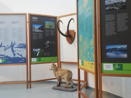 Minuscole, enormi, sempre preziose! Le aree protette dell'Alto Adige | mostra Castelrotto 2 suedtirol.info