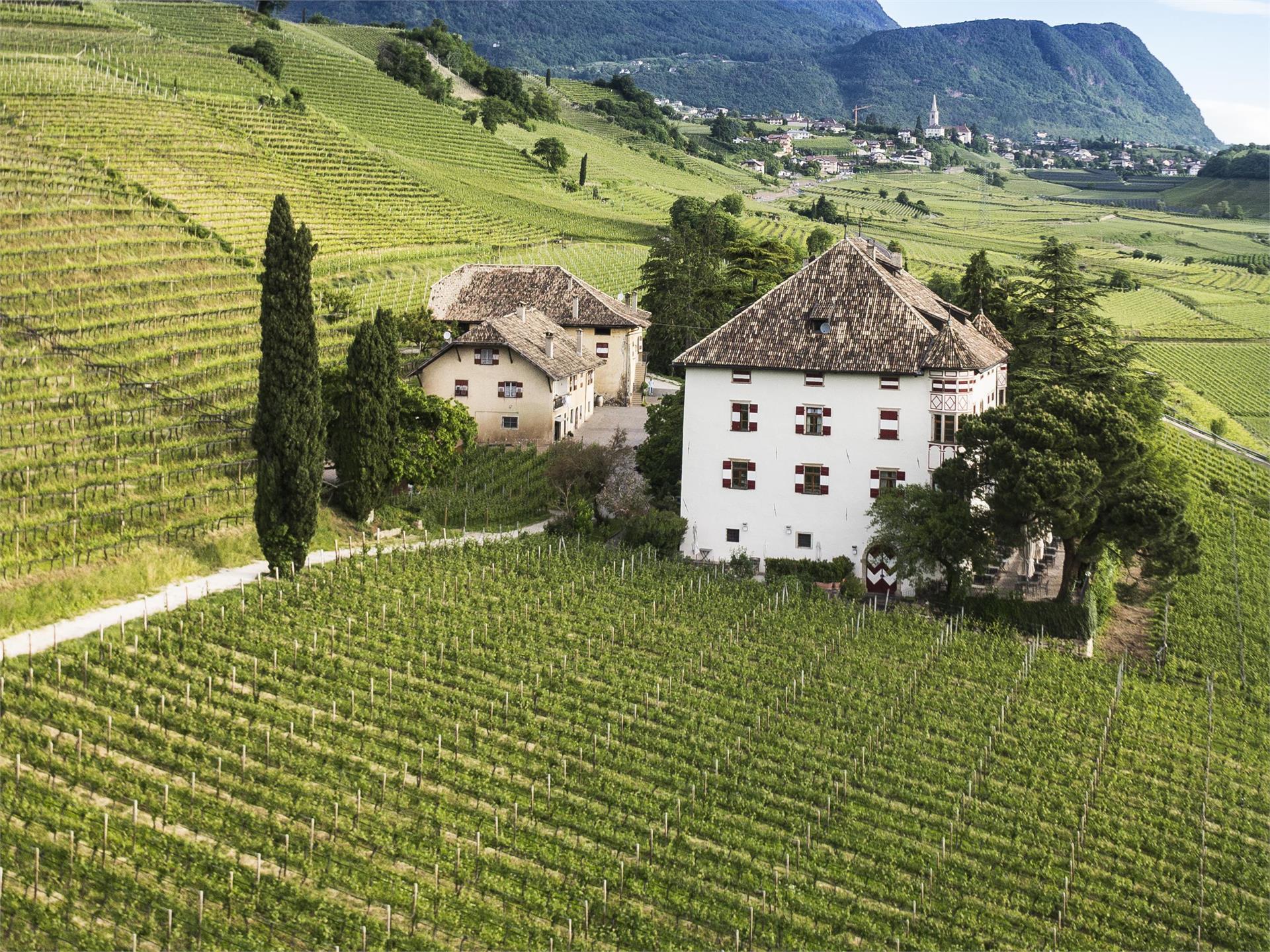 Visita guidata alla vigna castel Ringberg (Elena Walch) Termeno sulla Strada del Vino 1 suedtirol.info