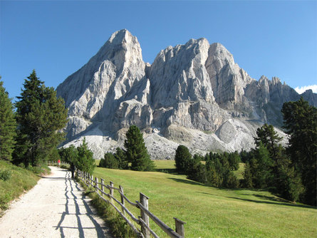 Antermoia - Passo delle Erbe - Pütia Meadows San Martin /San Martino 1 suedtirol.info