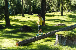 Am Cisloner Berg: Montan – Cisloner Alm (1.249 m) - Montan - #7 - suedtirol.info