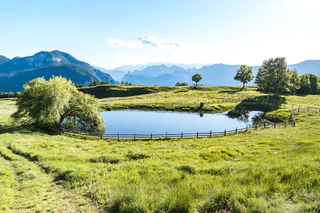 Am Cisloner Berg: Montan – Cisloner Alm (1.249 m) - Montan - #5 - suedtirol.info