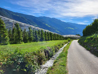 Apfelgärten-Runde - Partschins - #11 - suedtirol.info
