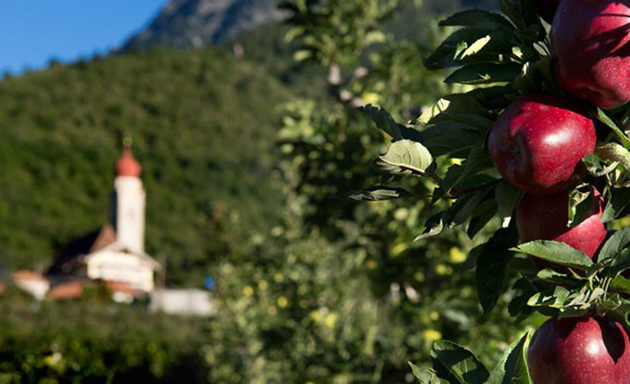 Apfelgärten-Runde - Partschins - #1 - suedtirol.info